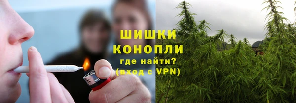 стаф Верхний Тагил