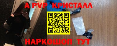 стаф Камышлов