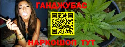 крисы Канаш