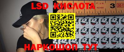 стаф Камышлов