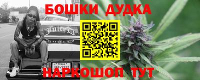 крисы Канаш