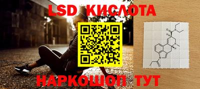 стаф Камышлов
