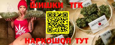 стаф Камышлов
