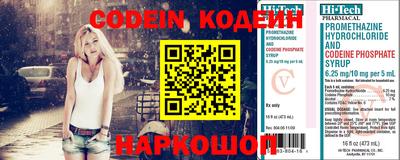 стаф Камышлов