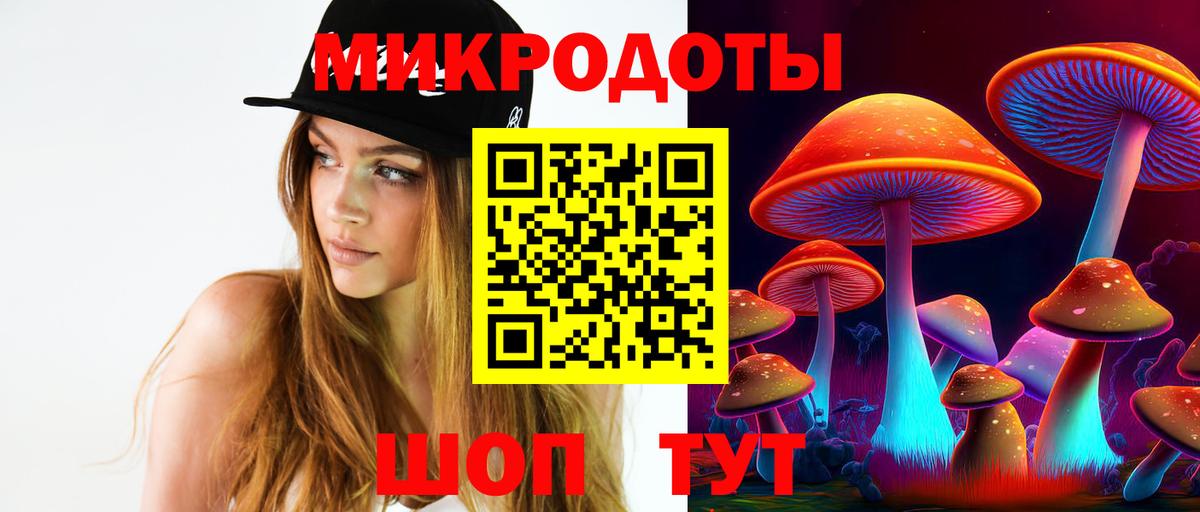 ГАШ Малоярославец
